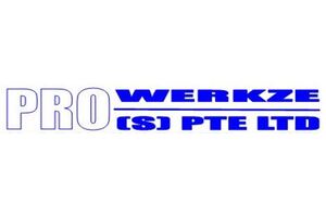 Company Logo (Pro-Werkze)